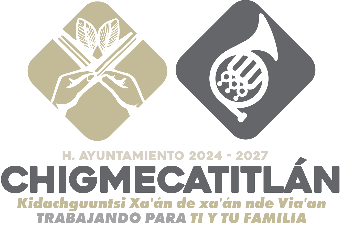 H. Ayuntamiento Chigmecatitlan2024 – 2027